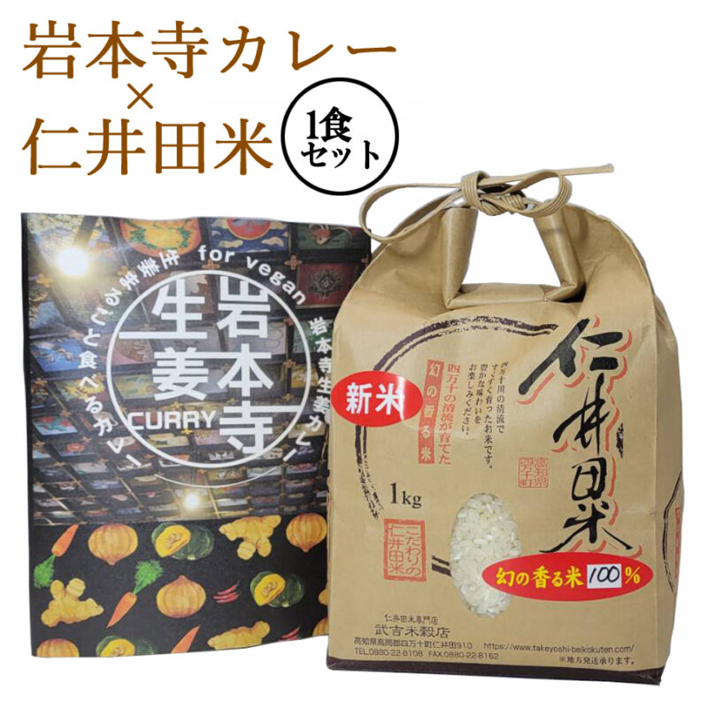 お米在庫あり 即納＼生姜まるごと食べるカレー／ 「岩本寺生姜カレー」× 仁井田米 「十和錦 1kg」 おためしセット！ 新米 カレー レトルト curry ヴィーガン ビーガン対応 vegan お寺 贈り物 冬ギフト お歳暮 御歳暮 寒中見舞い お年賀 お取り寄せ ギフト 高知 特産 食品 プレゼント 【のし対応可】