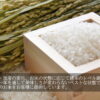白米在庫あり 在庫あり 即納 「お米+カレー 6食分セット」× 仁井田米 「十和錦 1kg」 セット！ 新米  贈り物 冬ギフト お年賀 お歳暮 御歳暮 お取り寄せ ギフト 御礼 高知 特産 食品 プレゼント 【のし対応可】 - 画像 (8)