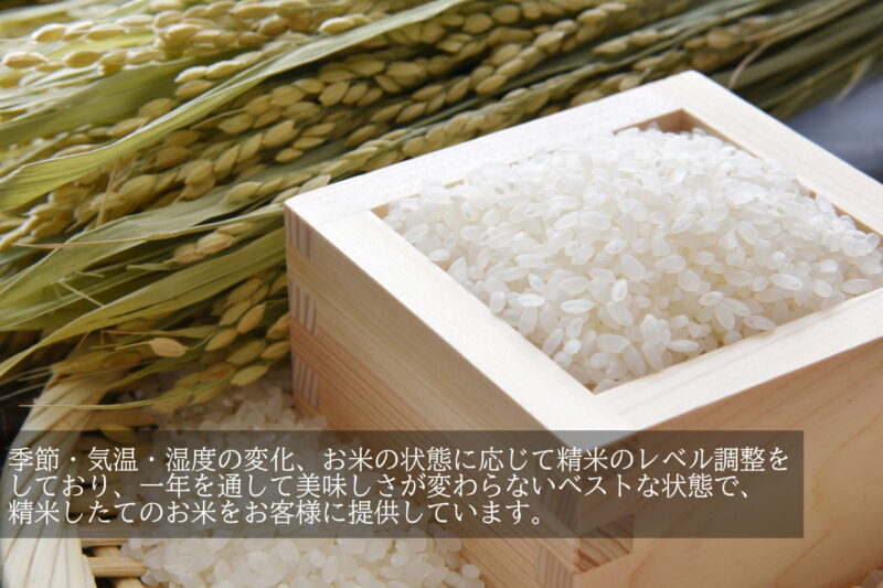 白米在庫あり 在庫あり 即納 「お米+カレー 6食分セット」× 仁井田米 「十和錦 1kg」 セット！ 新米  贈り物 冬ギフト お年賀 お歳暮 御歳暮 お取り寄せ ギフト 御礼 高知 特産 食品 プレゼント 【のし対応可】 - 画像 (8)