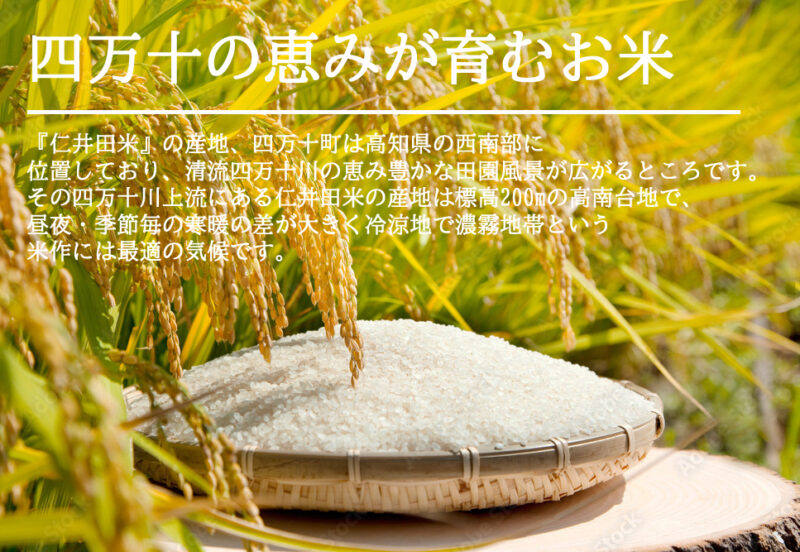 白米在庫あり 在庫あり 即納 「お米+カレー 6食分セット」× 仁井田米 「十和錦 1kg」 セット！ 新米  贈り物 冬ギフト お年賀 お歳暮 御歳暮 お取り寄せ ギフト 御礼 高知 特産 食品 プレゼント 【のし対応可】 - 画像 (9)