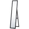 【法人様限定】送料無料 ミラー ダーク プラスチックフレーム RFSMR-DB