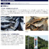 【足摺セット】 母の日 父の日 ギフト お取り寄せ ギフトセット 土佐グルメ 高知土産 高知みやげ 詰め合わせ 宗田節だし醤油 宗田節おかき 調味料セット プレゼント 贈り物 贈答 内祝い 返礼品 帰省土産 粗品 退職 退院祝い 快気祝い【のし対応可】 - 画像 (7)