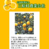 大人気 お中元 御中元 暑中見舞い 残暑見舞い ギフト ゆずどりんく 195g×30本入り ゆずジュース 柚子ジュース 農協直送 高知県 三原村 高知土産 高知みやげ 帰省土産 手土産 贈り物 返礼品 お礼 退職 転勤 退院 快気祝い - 画像 (9)