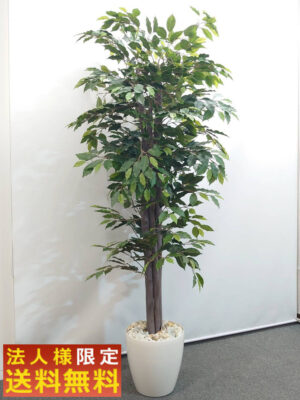 【法人限定送料無料】フェイクグリーン オフィスグリーン 観葉植物 インテリアグリーン 人工観葉植物 	 お手入れ簡単 手間要らず 人工樹木 H1900 オフィスアクセサリー オフィス用 インテリア オフィス緑化【中古オフィス家具】【中古】