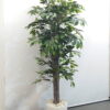 【法人限定送料無料】フェイクグリーン オフィスグリーン 観葉植物 インテリアグリーン 人工観葉植物 	 お手入れ簡単 手間要らず 人工樹木 H1900 オフィスアクセサリー オフィス用 インテリア オフィス緑化【中古オフィス家具】【中古】 - 画像 (2)