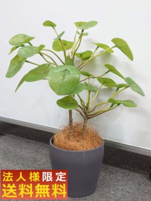 【法人限定送料無料】フェイクグリーン オフィスグリーン 観葉植物 インテリアグリーン 人工観葉植物 造花 お手入れ簡単 手間要らず 人工樹木 オフィスアクセサリー オフィス用 インテリア オフィス緑化【中古オフィス家具】【中古】