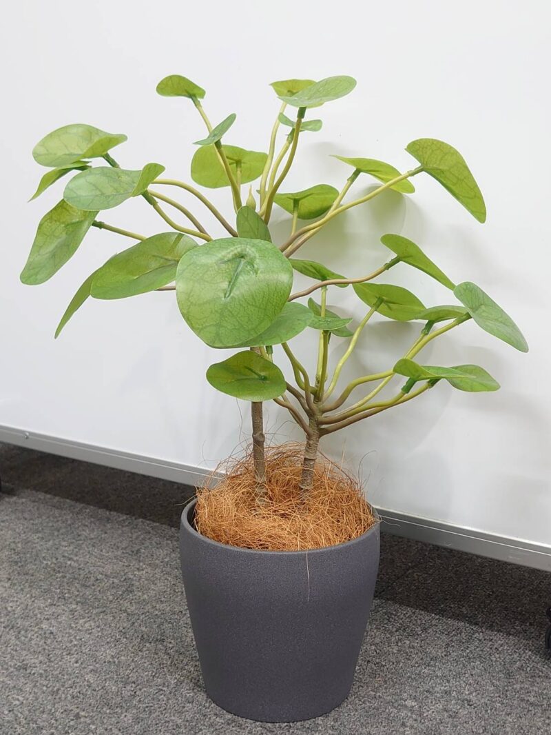 【法人限定送料無料】フェイクグリーン オフィスグリーン 観葉植物 インテリアグリーン 人工観葉植物 造花 	 お手入れ簡単 手間要らず 人工樹木 オフィスアクセサリー オフィス用 インテリア オフィス緑化【中古オフィス家具】【中古】 - 画像 (2)