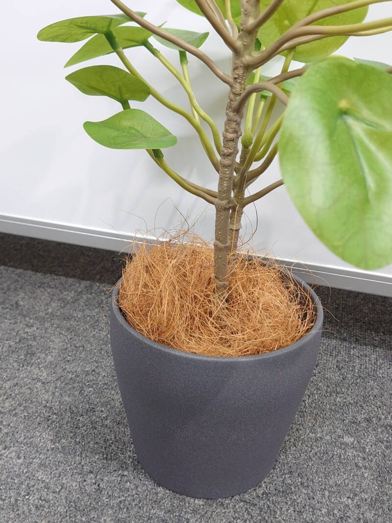 【法人限定送料無料】フェイクグリーン オフィスグリーン 観葉植物 インテリアグリーン 人工観葉植物 造花 	 お手入れ簡単 手間要らず 人工樹木 オフィスアクセサリー オフィス用 インテリア オフィス緑化【中古オフィス家具】【中古】 - 画像 (3)