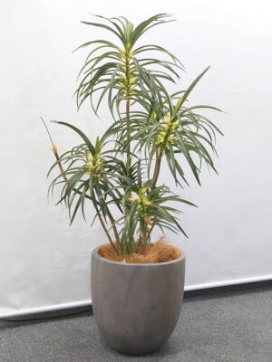 フェイクグリーン オフィスグリーン 観葉植物 インテリアグリーン 人工観葉植物 造花 お手入れ簡単 手間要らず 人工樹木 オフィスアクセサリー オフィス用 インテリア オフィス緑化【中古オフィス家具】【中古】