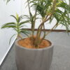 フェイクグリーン オフィスグリーン 観葉植物 インテリアグリーン 人工観葉植物 造花 お手入れ簡単 手間要らず 人工樹木 オフィスアクセサリー オフィス用 インテリア オフィス緑化【中古オフィス家具】【中古】 - 画像 (3)