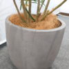 フェイクグリーン オフィスグリーン 観葉植物 インテリアグリーン 人工観葉植物 造花 お手入れ簡単 手間要らず 人工樹木 オフィスアクセサリー オフィス用 インテリア オフィス緑化【中古オフィス家具】【中古】 - 画像 (5)