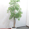 【法人限定送料無料】【美品】【在庫3点有り】フェイクグリーン オフィスグリーン 観葉植物 インテリアグリーン 人工観葉植物 お手入れ簡単 手間要らず 人工樹木 H1700 オフィスアクセサリー オフィス用 インテリア オフィス緑化【中古オフィス家具】【中古】