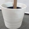 【法人限定送料無料】【美品】【在庫3点有り】フェイクグリーン オフィスグリーン 観葉植物 インテリアグリーン 人工観葉植物 お手入れ簡単 手間要らず 人工樹木 H1700 オフィスアクセサリー オフィス用 インテリア オフィス緑化【中古オフィス家具】【中古】 - 画像 (6)