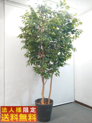 【法人限定送料無料】フェイクグリーン オフィスグリーン 観葉植物 インテリアグリーン 人工観葉植物 お手入れ簡単 手間要らず 人工樹木 H2300 オフィスアクセサリー オフィス用 インテリア オフィス緑化【中古オフィス家具】【中古】