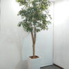 【法人限定送料無料】【在庫５点有】フェイクグリーン オフィスグリーン 観葉植物 インテリアグリーン 人工観葉植物 お手入れ簡単 手間要らず 人工樹木 H2300 オフィスアクセサリー オフィス用 インテリア オフィス緑化 【中古オフィス家具】【中古】 - 画像 (2)