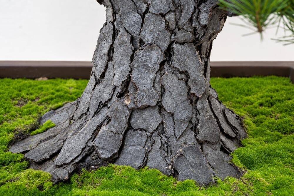 盆栽 BONSAI 松 光触媒 和風 人工樹木 消臭 空気清浄 お手入れ不要 H790mm - 画像 (6)