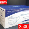 不織布マスク 2500枚入り 三層構造 ふつうサイズ 使い捨て【新品】