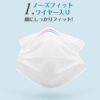 不織布マスク 2500枚入り 三層構造 ふつうサイズ 使い捨て【新品】 - 画像 (6)