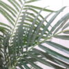 人工観葉植物 フェイクグリーン オフィスグリーン 幅860×高さ600 - 画像 (5)