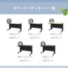スチール平机 幅1200×奥行700 カギ・コードホール付 本体ブラック 天板5色対応 - 画像 (10)