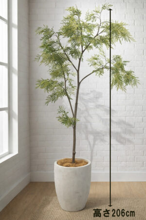 東京地区送料無料 人工観葉植物 ミモザ アカシア風 H2060 / 約2.1m フェイクグリーン