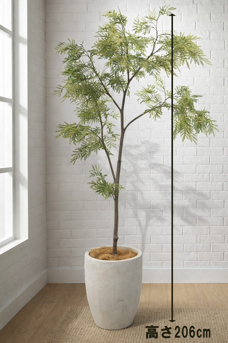 東京地区送料無料 人工観葉植物 ミモザ アカシア風 H2060 / 約2.1m フェイクグリーン