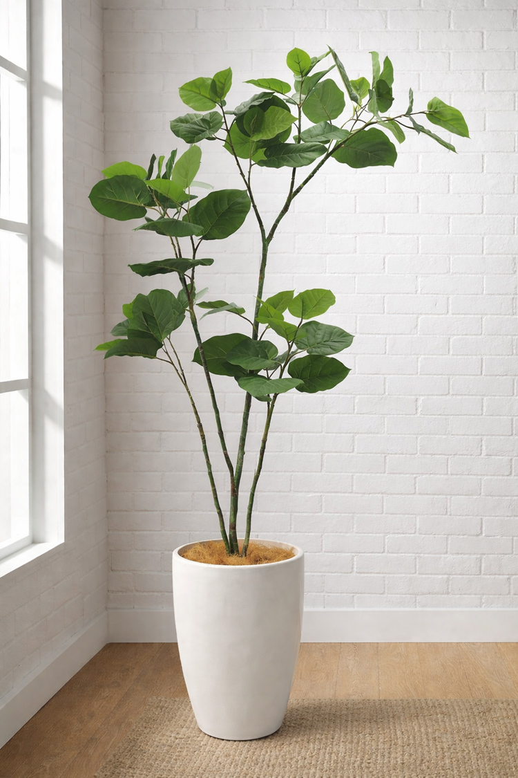 東京地区送料無料 フェイクグリーン ウンベラータ風 H1900 / 1.9m 人工観葉植物 - 画像 (2)