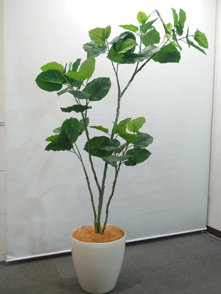 送料無料 ウンベラータ風 フェイクグリーン オフィスグリーン H1900 観葉植物 インテリア グリーン 人工観葉植物 - 画像 (2)
