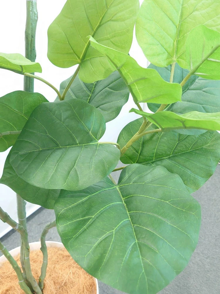 送料無料 ウンベラータ風 フェイクグリーン オフィスグリーン H1900 観葉植物 インテリア グリーン 人工観葉植物 - 画像 (4)