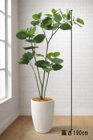 東京地区送料無料 フェイクグリーン ウンベラータ風 H1900 / 1.9m 人工観葉植物
