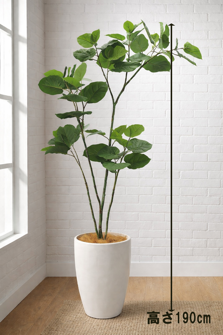 東京地区送料無料 フェイクグリーン ウンベラータ風 H1900 / 1.9m 人工観葉植物