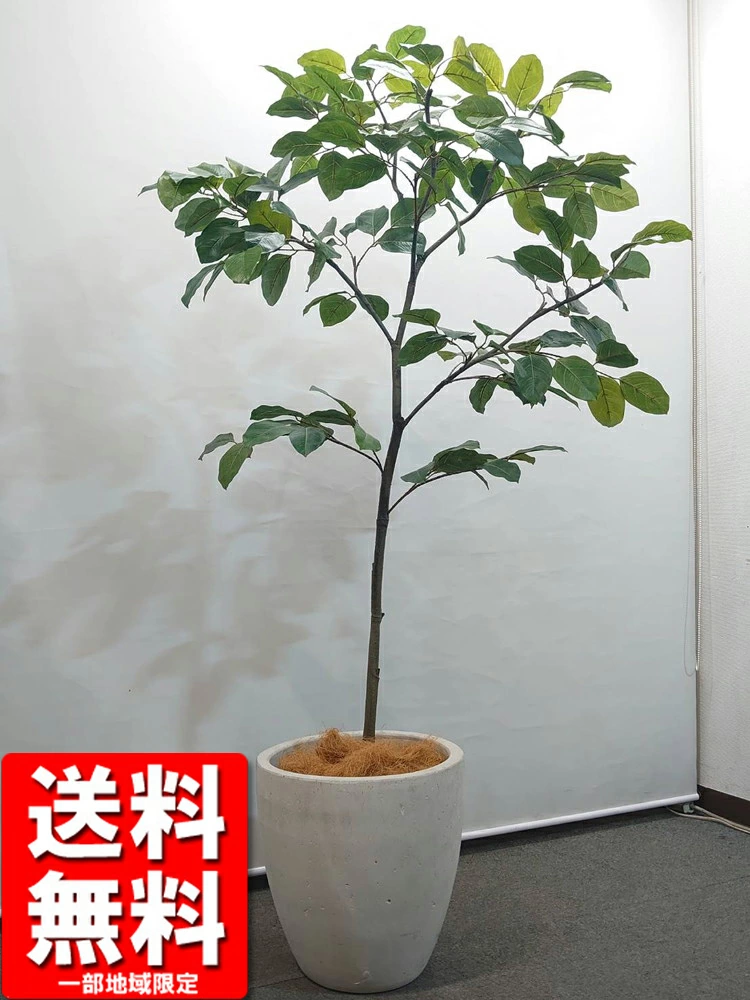 送料無料 フィカス ベンガレンシス風 フェイクグリーン H2000 オフィスグリーン 観葉植物 インテリアグリーン 人工観葉植物