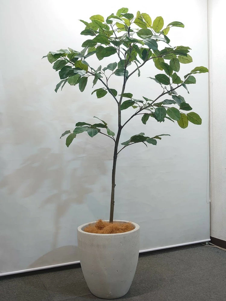 送料無料 フィカス ベンガレンシス風 フェイクグリーン H2000 オフィスグリーン 観葉植物 インテリアグリーン 人工観葉植物 - 画像 (2)