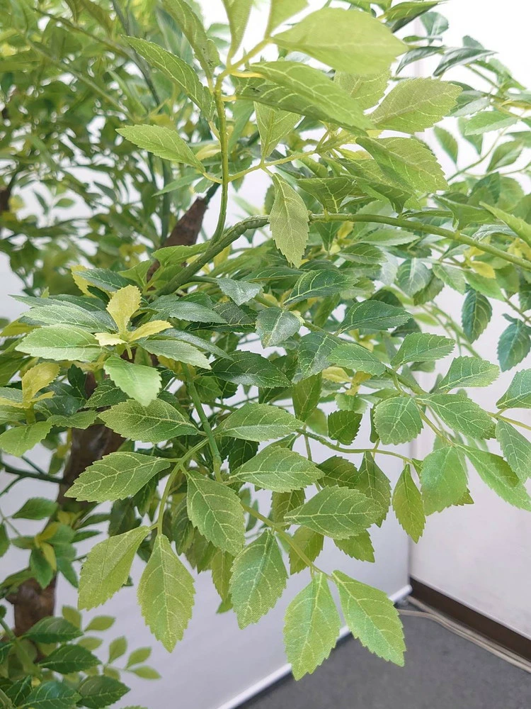 送料無料 ガジュマル風 フェイクツリー グリーン オフィスグリーン H2000 観葉植物 インテリアグリーン 家具 人工観葉植物 - 画像 (4)