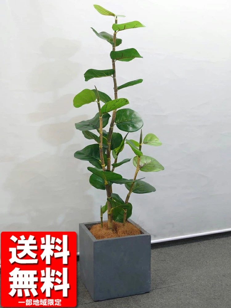 送料無料 シーグレープ ココロバ 鉢付き フェイクグリーン オフィスグリーン H1300 観葉植物 インテリア グリーン おしゃれ 家具 部屋 人工観葉植物