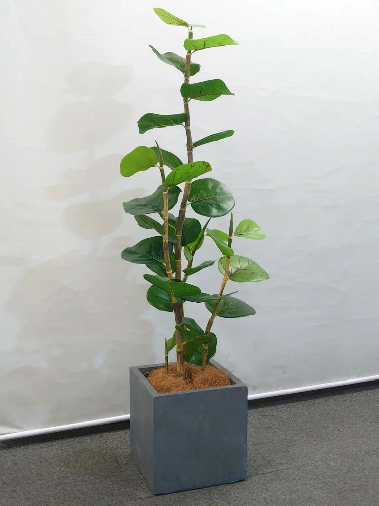 送料無料 シーグレープ ココロバ 鉢付き フェイクグリーン オフィスグリーン H1300 観葉植物 インテリア グリーン おしゃれ 家具 部屋 人工観葉植物 - 画像 (2)