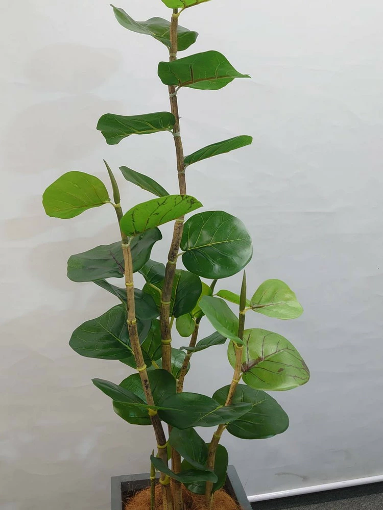 送料無料 シーグレープ ココロバ 鉢付き フェイクグリーン オフィスグリーン H1300 観葉植物 インテリア グリーン おしゃれ 家具 部屋 人工観葉植物 - 画像 (3)