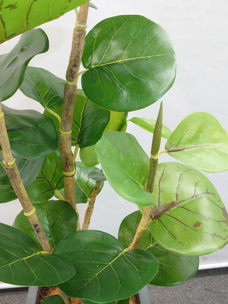 送料無料 シーグレープ ココロバ 鉢付き フェイクグリーン オフィスグリーン H1300 観葉植物 インテリア グリーン おしゃれ 家具 部屋 人工観葉植物 - 画像 (4)