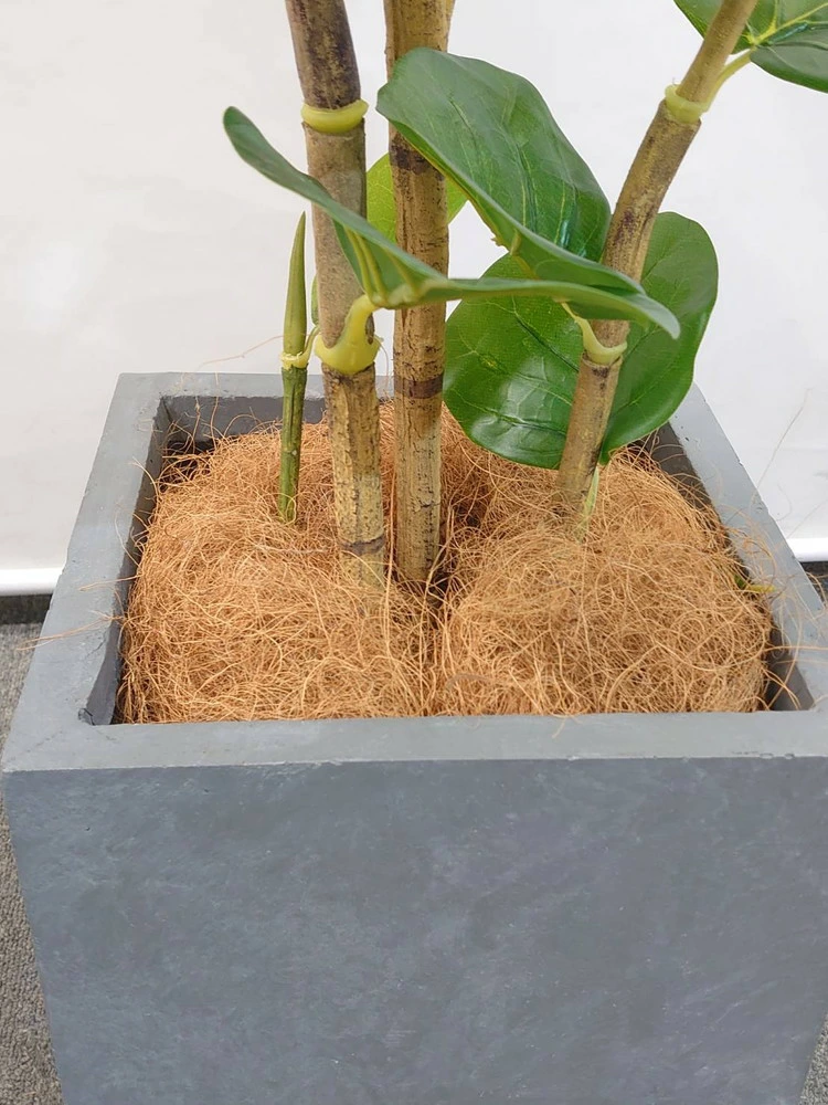 送料無料 シーグレープ ココロバ 鉢付き フェイクグリーン オフィスグリーン H1300 観葉植物 インテリア グリーン おしゃれ 家具 部屋 人工観葉植物 - 画像 (5)