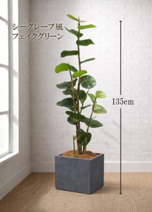 東京地区送料無料 フェイクグリーン 大型 シーグレープ風 ココロバ 人工観葉植物 H1350 鉢付き