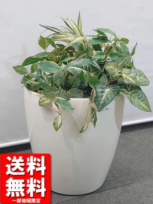 送料無料 寄せ植え ミックスグリーン 鉢付き H650 フェイクグリーン オフィスグリーン 観葉植物 インテリアグリーン 人工観葉植物