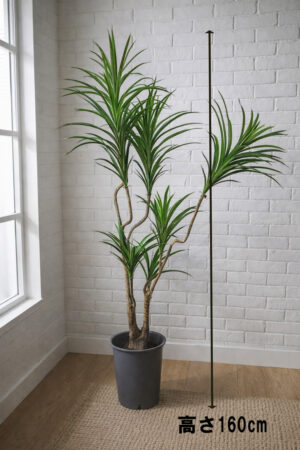 東京地区送料無料 人工観葉植物 フェイクツリー ドラセナ コンシンネ風 H1600 約1.6m 鉢付き
