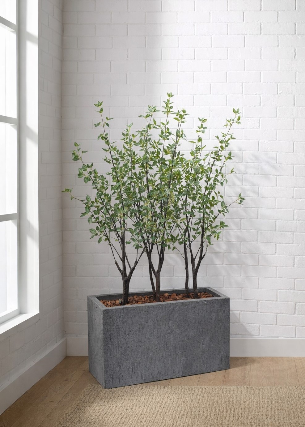 東京地区送料無料 フェイクグリーン H1710 / 約1.7m 鉢付き 人工観葉植物 ソヨゴ系 プランター付き - 画像 (2)