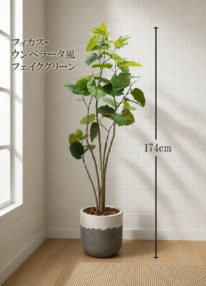 東京地区送料無料 フェイクグリーン 大型 人工観葉植物 フィカス ウンベラータ風 鉢付き 陶器プランター付き