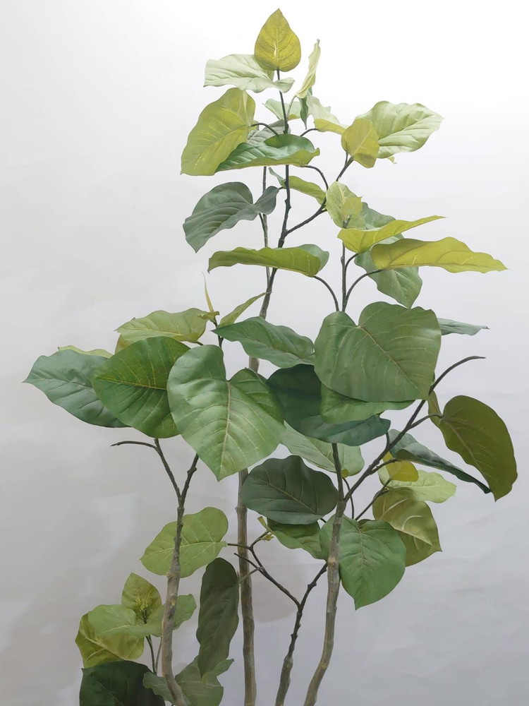 フェイクグリーン H1740 鉢付き インテリアグリーン 人工観葉植物 フィカス・ウンベラータ風 陶器プランター付き - 画像 (4)