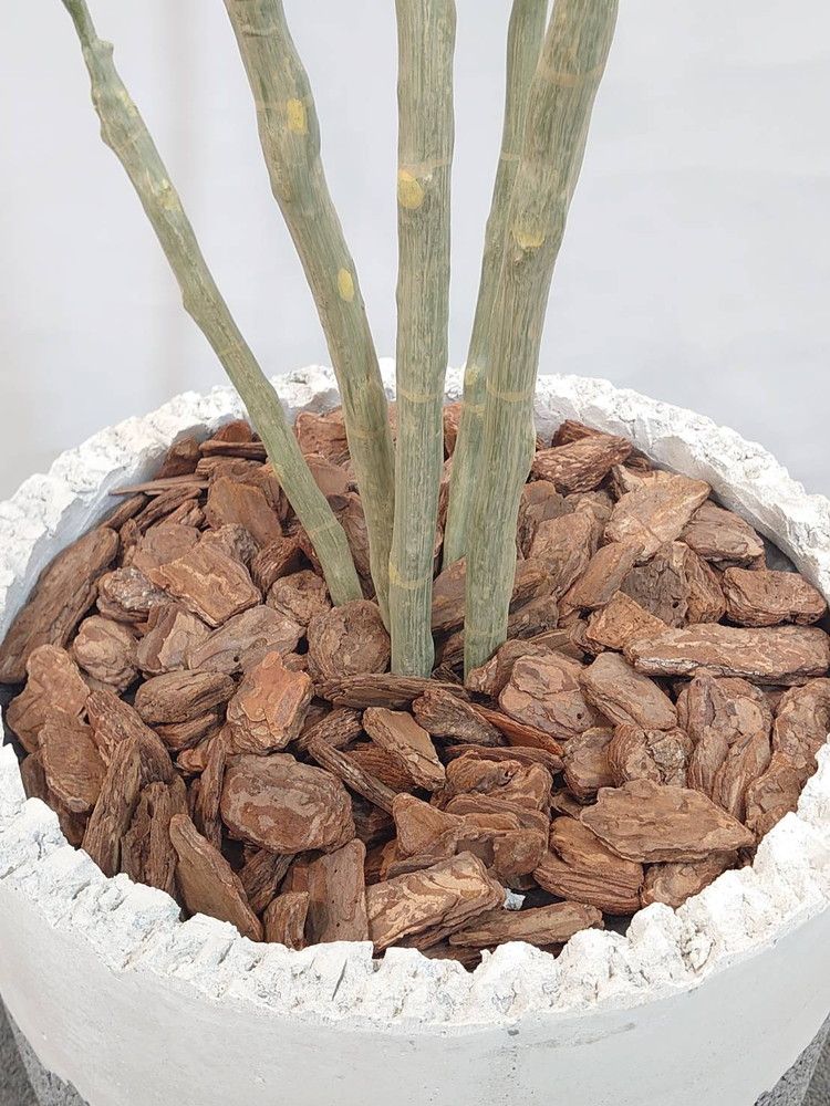 フェイクグリーン H1740 鉢付き インテリアグリーン 人工観葉植物 フィカス・ウンベラータ風 陶器プランター付き - 画像 (6)