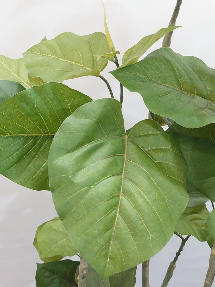 フェイクグリーン H1740 鉢付き インテリアグリーン 人工観葉植物 フィカス・ウンベラータ風 陶器プランター付き - 画像 (8)