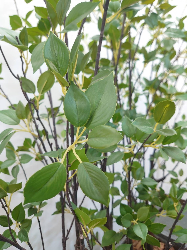 東京地区送料無料 フェイクグリーン H1710 / 約1.7m 鉢付き 人工観葉植物 ソヨゴ系 プランター付き - 画像 (7)