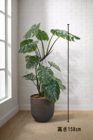 東京地区送料無料 フェイクグリーン モンステラ風 H1580 / 約1.6m 鉢付き 人工観葉植物 プランター付き