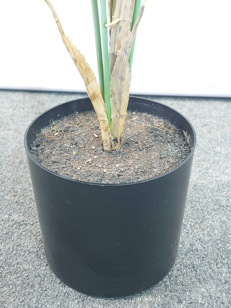 アレカヤシ風 フェイクグリーン 鉢付き H780 / 約0.8m 人工観葉植物 - 画像 (4)